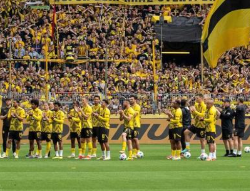 欧冠烽火中的多特蒙德：狂飙突进书写传奇